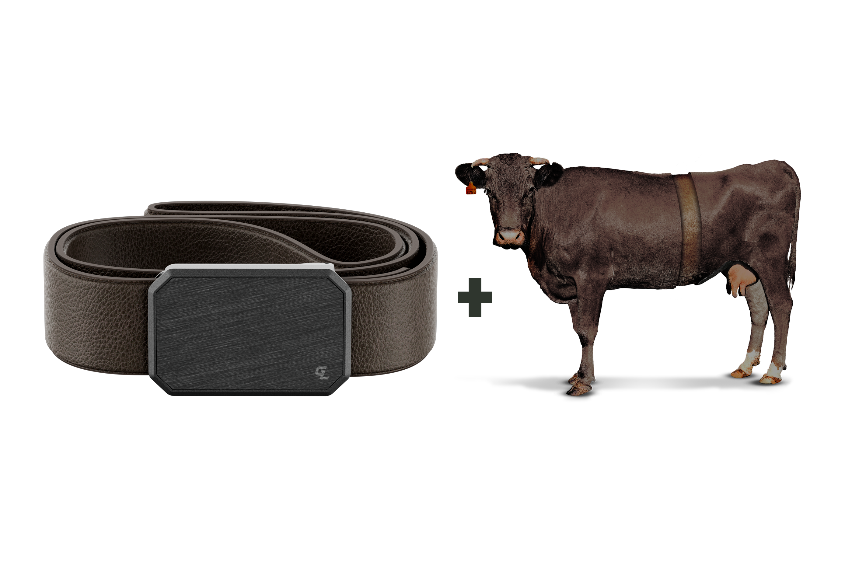 Groove Belt Max Leather + Cow Bundle view 2