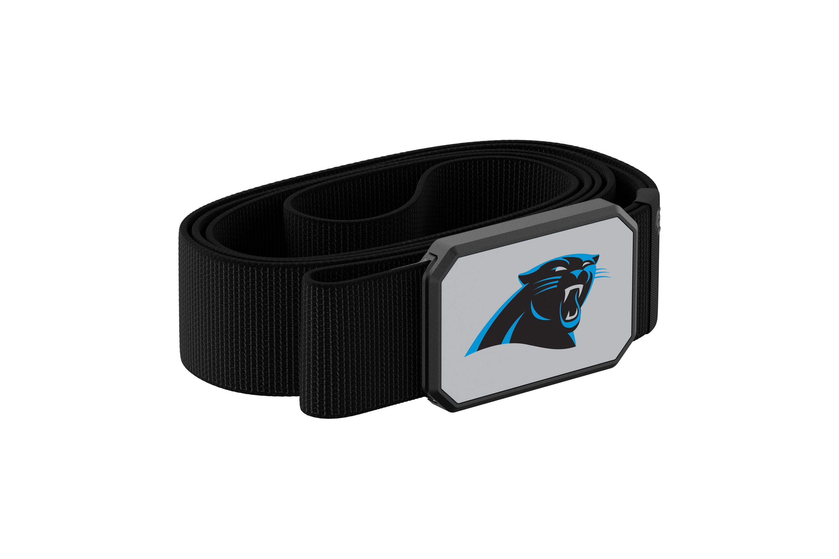 Carolina panthers belt view 2