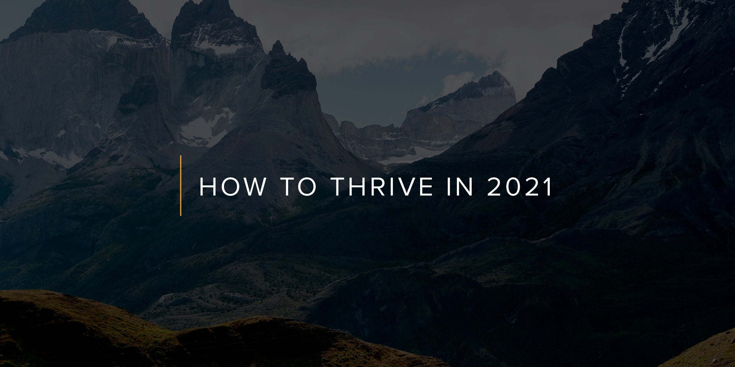 How to Thrive in 2021