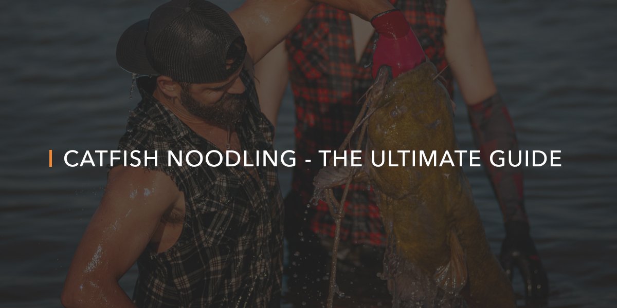 Catfish Noodling | The Ultimate Guide
