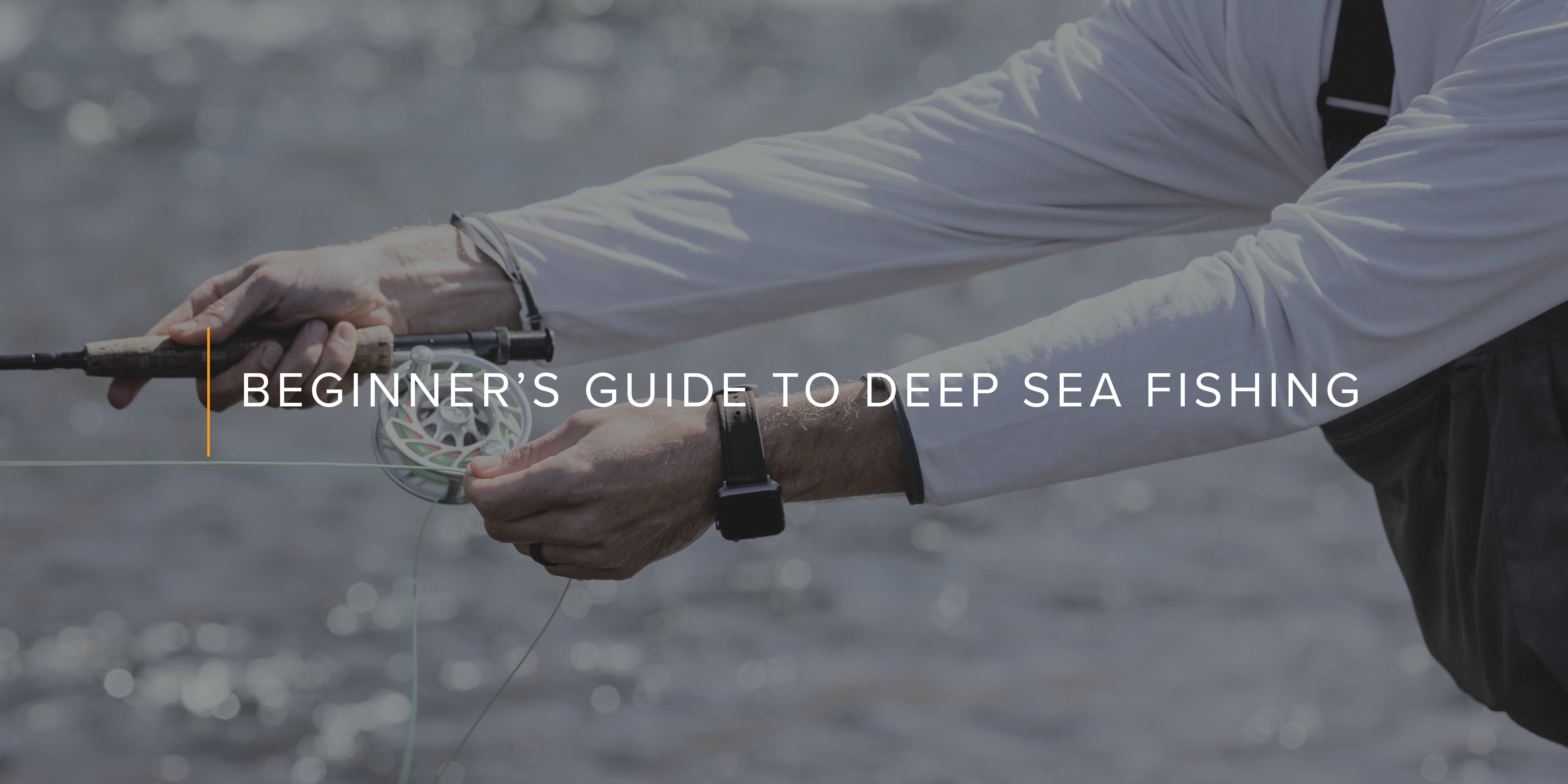 Beginner’s Guide to Deep Sea Fishing