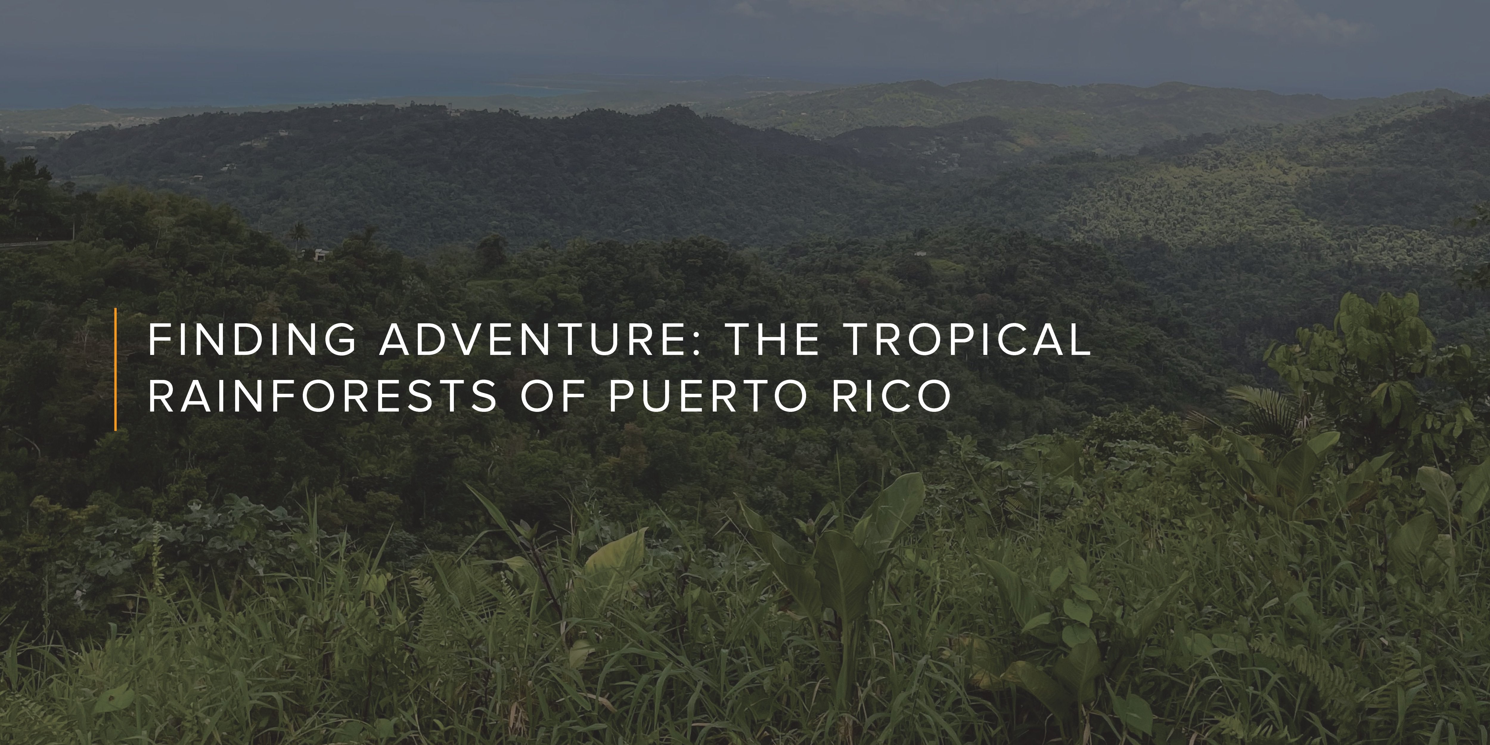 Finding Adventure: The Tropical Rainforests of Puerto Rico