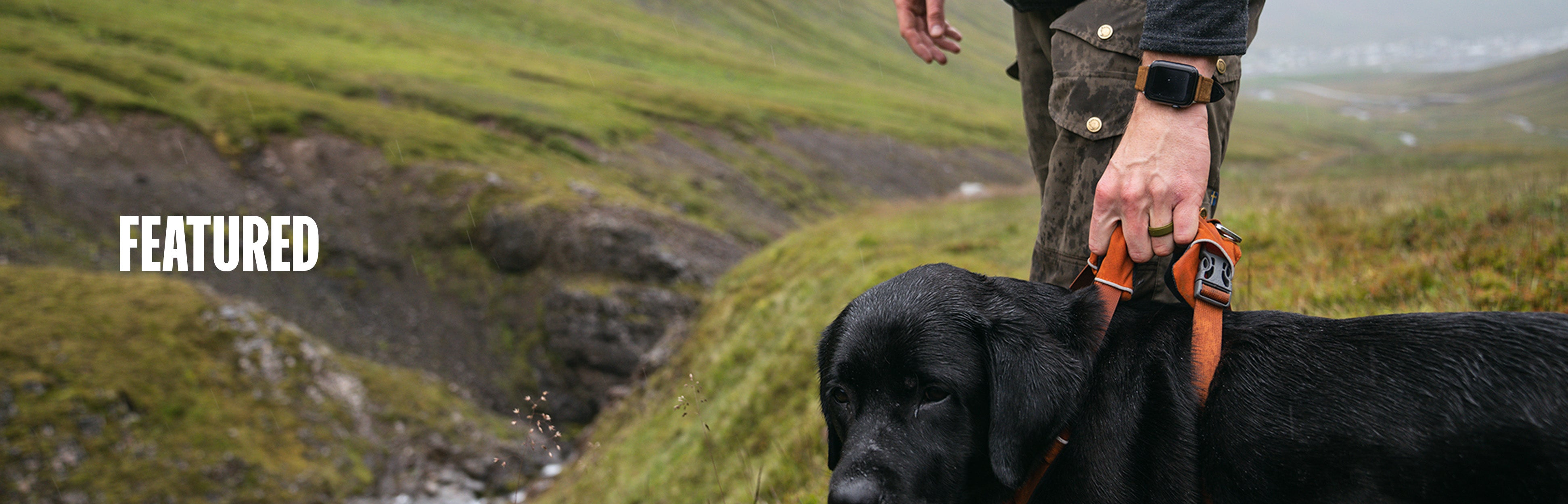 Featured, a man holds the collar of his black lab as he overlooks some valleys