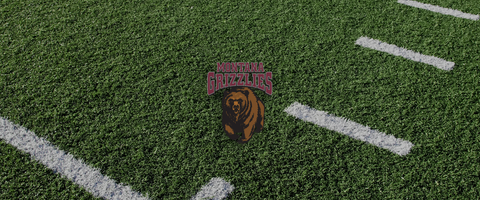 Montana logo on football field