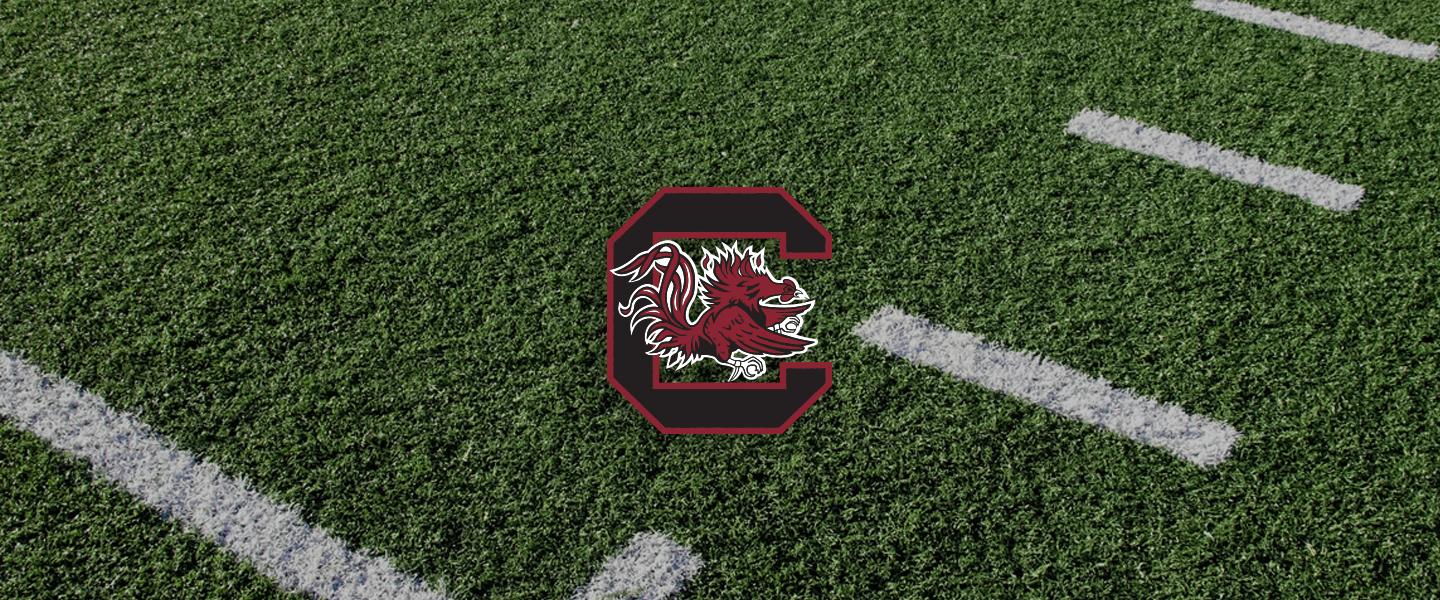 South Carolina Collegiate Silicone Rings, South Carolina logo on football field