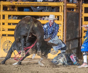 Chuck Swisher ducks a bull as he helps to protect a cowboy from its horns