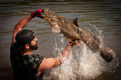 how to go catfish noodling