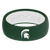 michigan state view 1 PNG